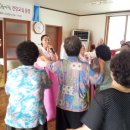 용천리경로당 Daum카페