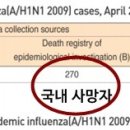 지금 생각해보면 엄청났던 2009년 신종플루.jpg 이미지