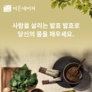 (주)이든네이처