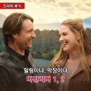 "힐링을 가장한 막장?" 욕하면서 보는 넷플릭스 '최장수' 드라마 추천