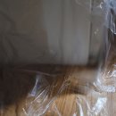 와니동물병원 이미지