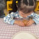 농부마트 | 화성 아기농부 5세 아기랑 귤 체험 후기