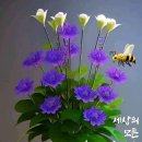 오늘피트니스 이미지