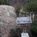 황금빛농장 이미지