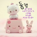 스카이타워 이미지