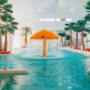 홀론스파 이미지