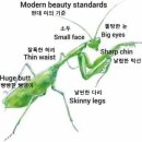 천리마