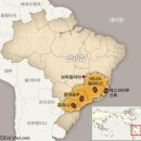 커피벨트 이미지