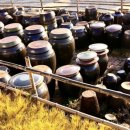 토굴목장 이미지