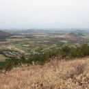 용연·용두암 이미지