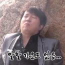 11545-02-36-30 | ⌚️ 남자시계| 롤렉스 데이저스트 36 쥬빌리 콤비 | 롤렉스 성골 후기| 현대백화점 무역센터점