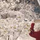 (주)소명생고기 | 3월 4주