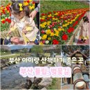 좌광천산책로2 | [공지] 부산 튤립 명소 아이랑 산책하기 좋은 벚꽃길 좌광천
