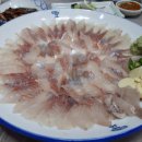 거제회센타 이미지