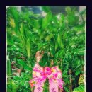 세종송담교회 이미지