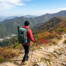 진도대교 민박 이미지