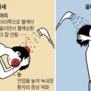 머리야 이미지