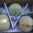 만석군농장 이미지