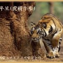 교훈글-호시우보(虎視牛步) 이미지