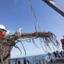 연평농장 이미지