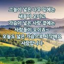 행복찾기 - 계양구 계양대로 204 | 행복찾기