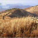 펜션;하늘에..