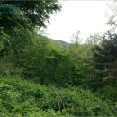 안성면116 이미지