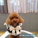 구암동428 이미지