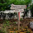 신포길 이미지
