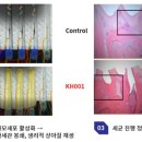 주식회사 진바이오 이미지