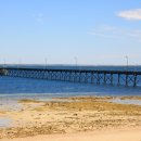 제티상점 이미지