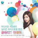 안경천국콘택트 이미지