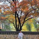 한화호텔&리조트/경주휴양콘도미니엄(담톤) | 아이랑 경주 숙소 한화리조트 담톤 1박 + 뽀로로 워터파크 + 키즈플레이 후기!