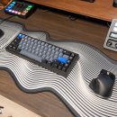 snail | 데스크테리어족이 선택한 데스크매트, Black Snail Deskmat 내돈내산후기