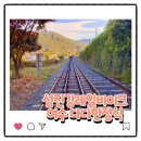 섬진강순환2 이미지