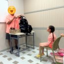 (주)모비아넷 | 아이와 함께 한 보홀 3박 5일 패키지여행 ✈️ 돌고래 와칭부터 솔레아 리조트 후기까지