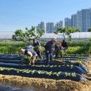 화서1동 이미지