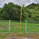 고산자연휴양림 캐라반 입구 이미지