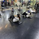 서울탑체육관 이미지