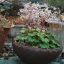 하우농장 이미지