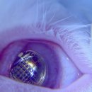 하나로콘택트 이미지