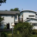 하늘빛으로 물든새 이미지