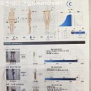 호텔 엘리시아 | [운동 후기] 달서구 필라테스, 필라테스B대곡점(그룹레슨, 인바디 체형분석)