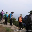 6.24일 부산 서구 천마산 산행.. 이미지