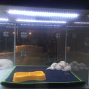 파리바게뜨고양성사점 | 아마도 9월 기록