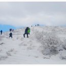 부평길주 이미지