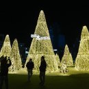 오동동 | 창원의 밤을 밝히다! 마산 창동/오동동 일루미네이션 산책 후기 (불종거리 &amp; 코아양과 앞 소소한 연말...