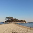 진하해수욕장 이미지