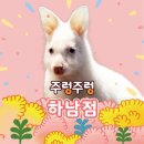 창우초등학교 | 실내동물원 주렁주렁 동물원 하남점 가격와 서비스 구성 정리