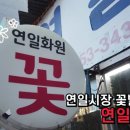 연일꽃화원